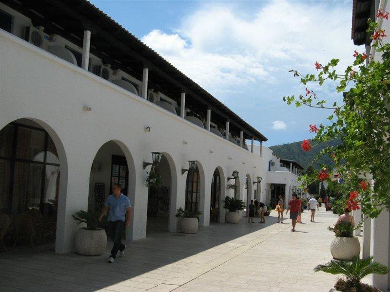 Aleksandar Budva